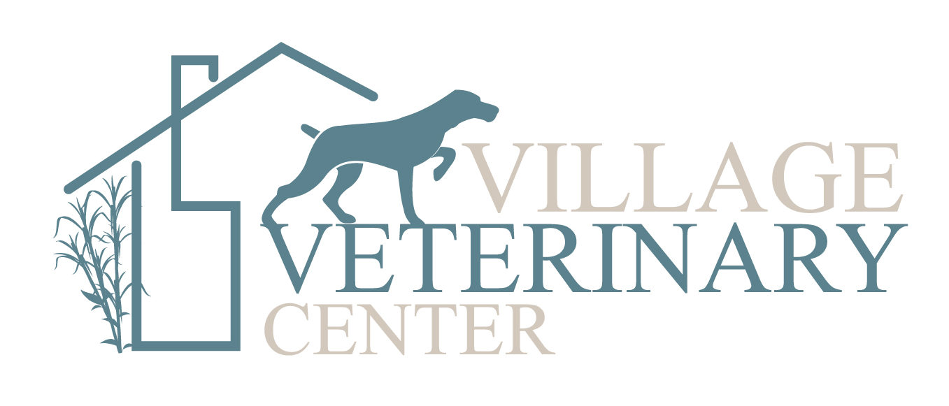 Village Veterinary Center